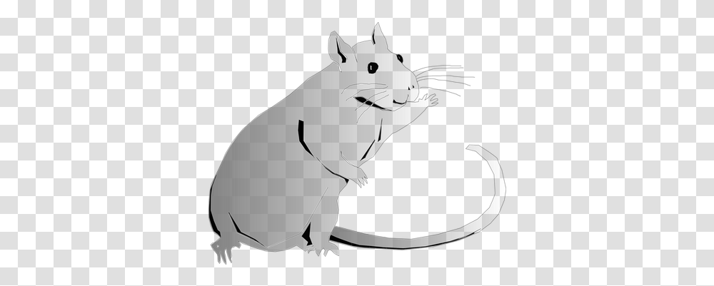 Download Animal Rat Rodent Clip Art Clip Art, Mammal, Painting Transparent Png