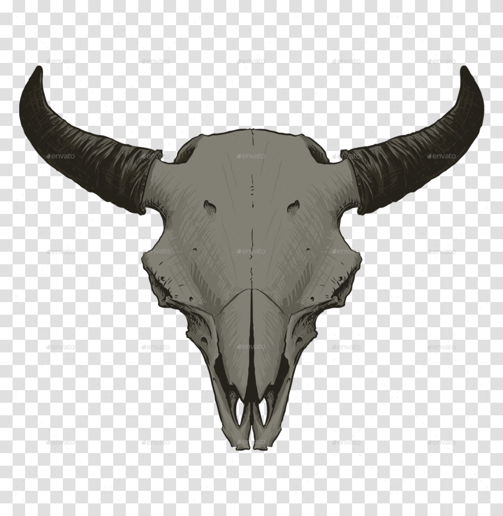 Download Animal Skull Vol Bull Image With No Animal Skull, Mammal, Cattle, Astronomy, Sea Life Transparent Png