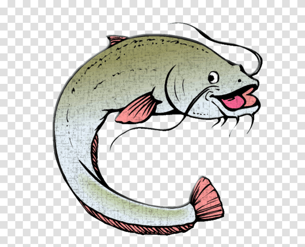 Download Animated Catfish Image Animated Catfish, Coho, Animal, Water, Sea Life Transparent Png