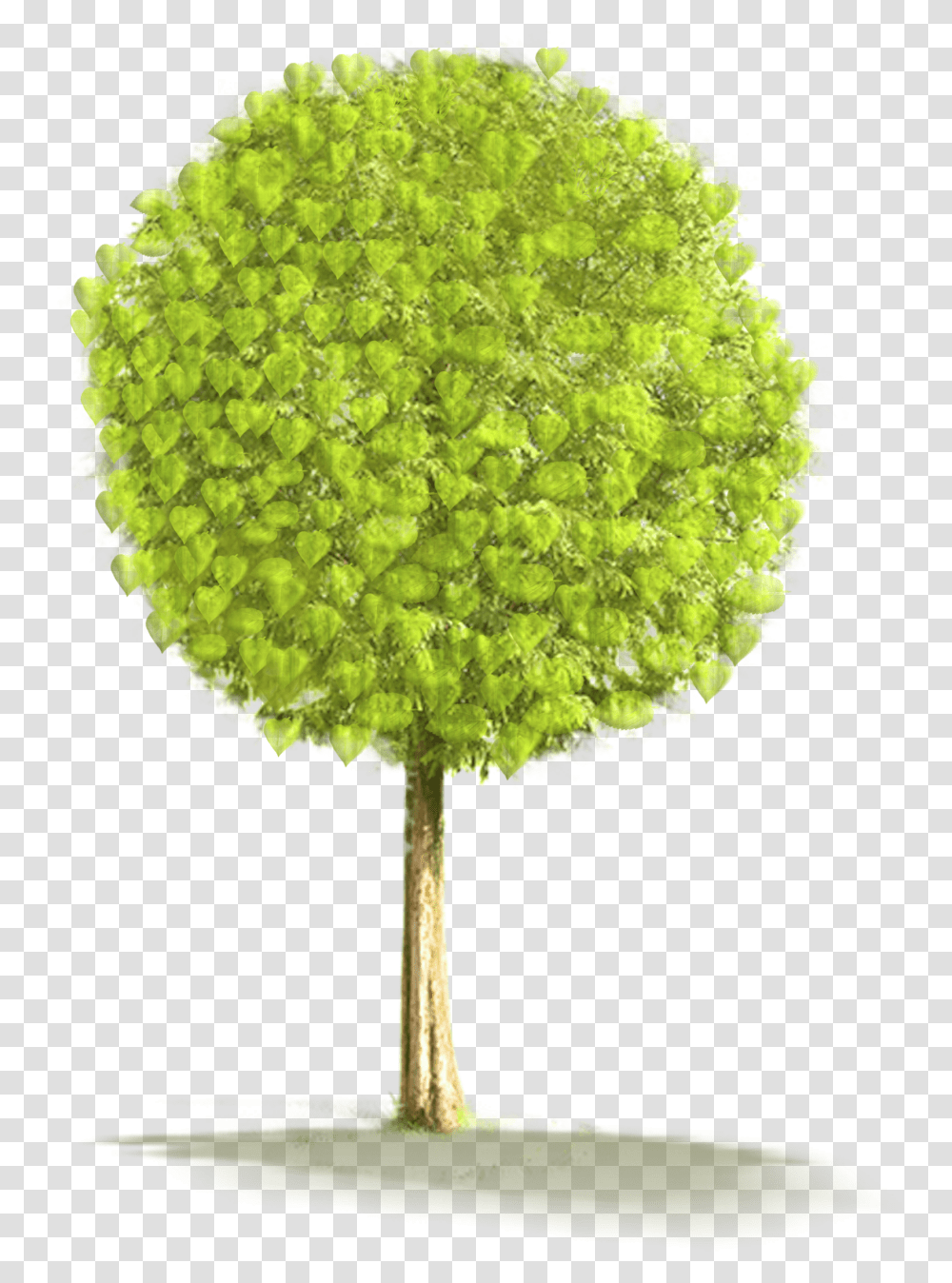 Download Animated Small Tree, Plant, Flower, Blossom, Dandelion Transparent Png