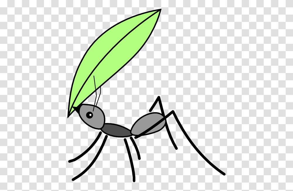 Download Ant Cartoon Leaf Clipart Insect Myrmicinae Clip Art, Invertebrate, Animal, Bow Transparent Png