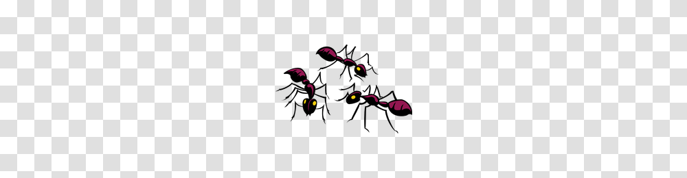 Download Ant Download Clipart Free Freepngclipart, Outdoors, Crowd Transparent Png