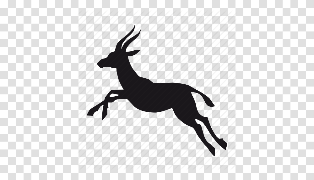 Download Antelope Clipart Antelope Chinkara Clip Art, Animal, Mammal, Wildlife, Impala Transparent Png