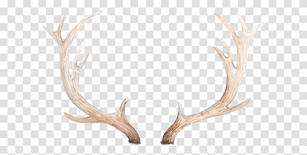 Download Antlers Solid, Hook, Axe, Tool, Claw Transparent Png