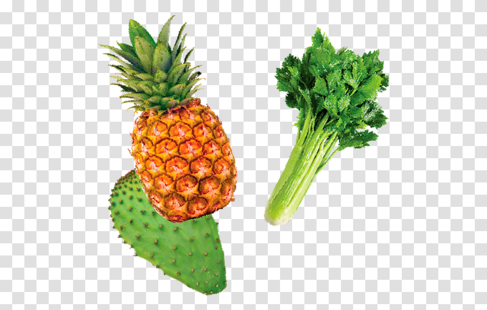 Download Apio Y Nopal Pineapple Full Size Image 4k Pineapple, Plant, Fruit, Food, Vegetable Transparent Png