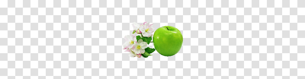 Download Apple Free Photo Images And Clipart Freepngimg, Tennis Ball, Sport, Sports, Plant Transparent Png