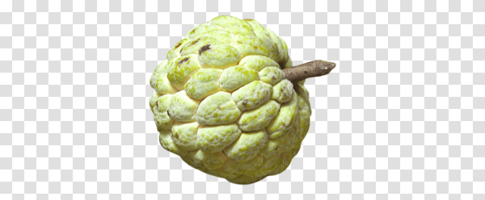 Download Apple Fruit Free Image And Clipart Custard Apple Cute, Plant, Pineapple, Food, Annonaceae Transparent Png
