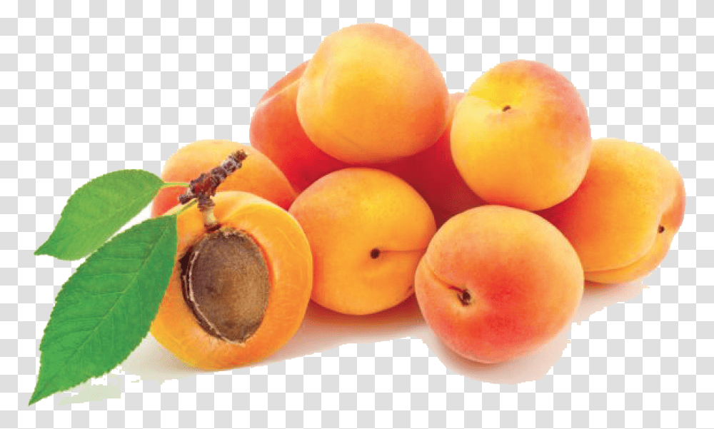 Download Apricot Photos 035 Apricot, Plant, Fruit, Produce, Food Transparent Png