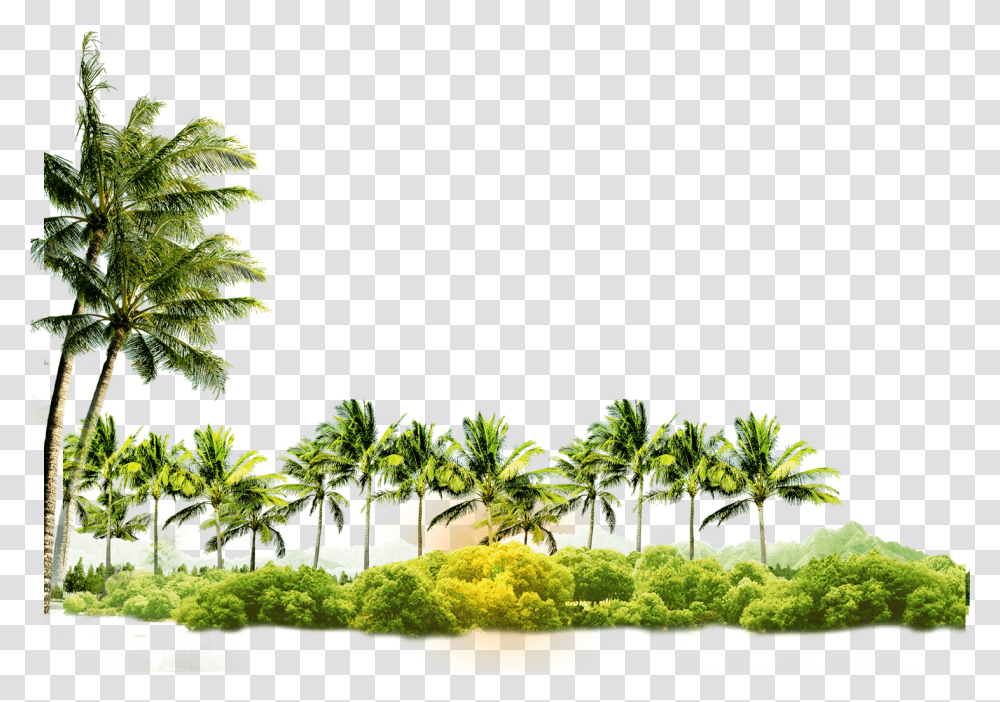 Download Arecaceae Coconut Tree Icon Coconut Tree With Coconut Hd, Plant, Summer, Vegetation, Outdoors Transparent Png