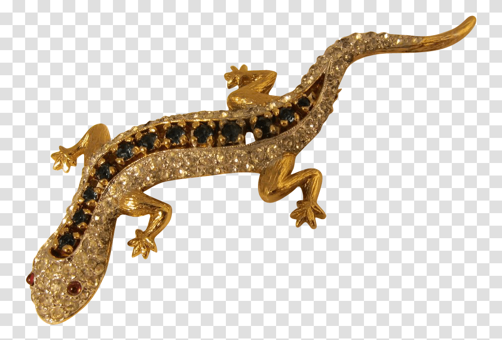 Download Armadillo Lizard No Background, Gecko, Reptile, Animal, Amphibian Transparent Png