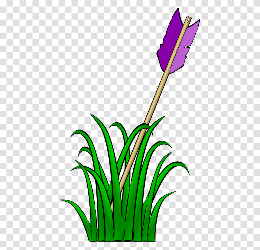Download Arrow In The Grass Clipart, Plant, Flower, Blossom, Petal Transparent Png