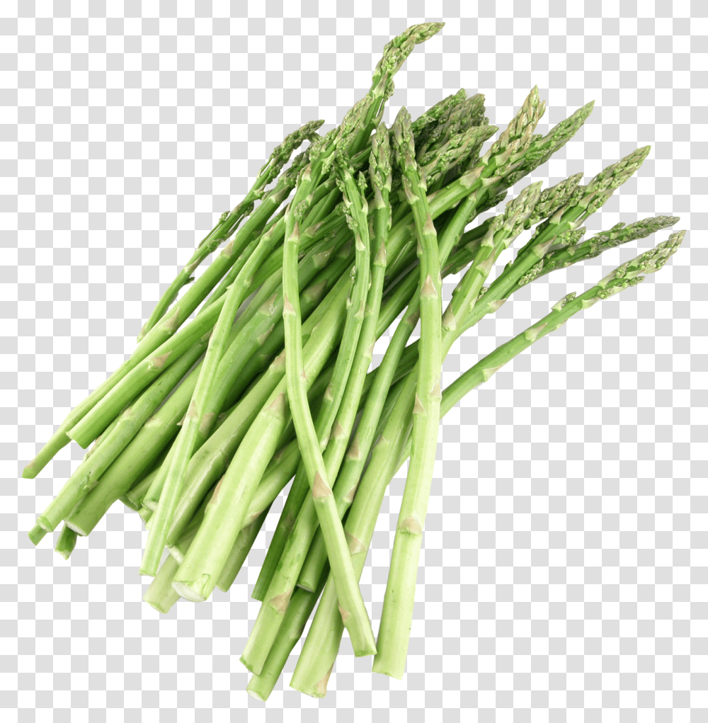 Download Asparagus Asparagus, Plant, Vegetable, Food, Produce Transparent Png