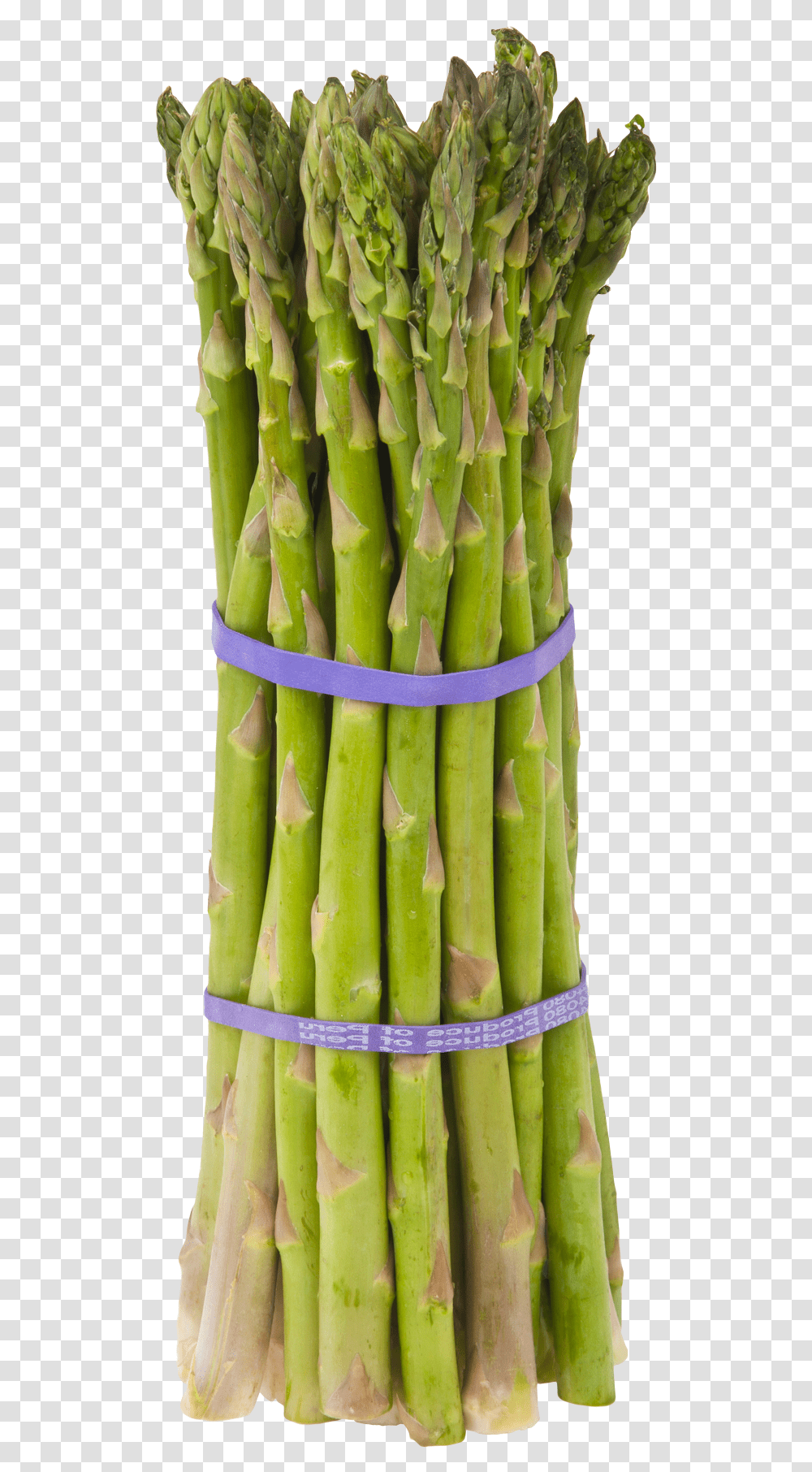 Download Asparagus Image For Free Asparagus Meaning In Bengali, Plant, Vegetable, Food, Pineapple Transparent Png