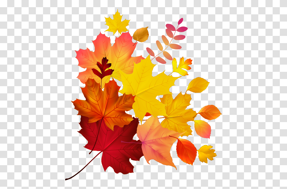 Download Autumn Color Leaf Maple Royalty Free Download Hq Colour Leaf, Plant, Tree, Maple Leaf Transparent Png