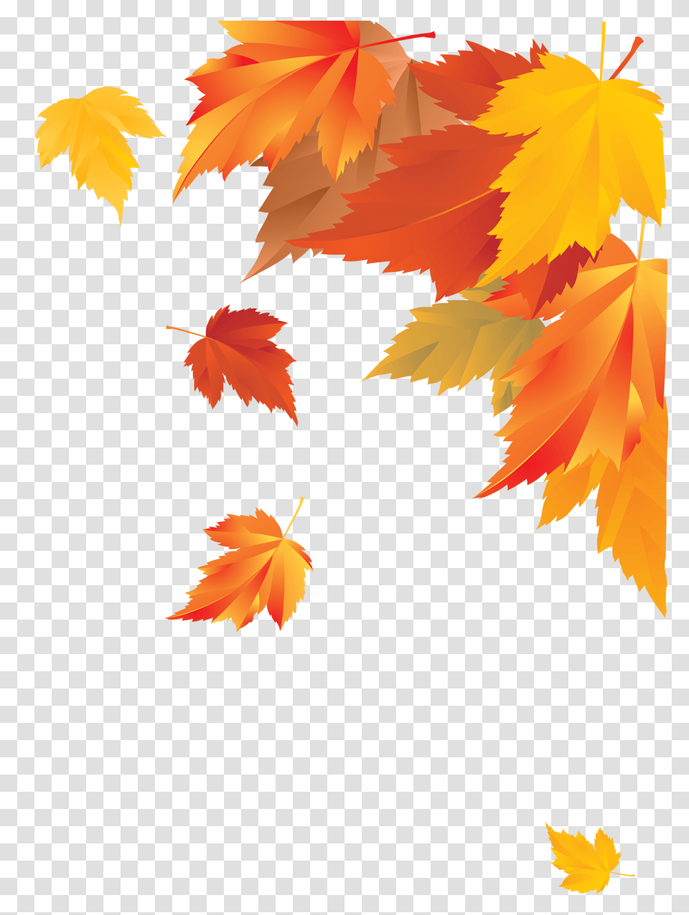 Download Autumn Corner Decoration Thanksgiving Image Border Fall Leaves, Leaf, Plant, Tree, Maple Transparent Png