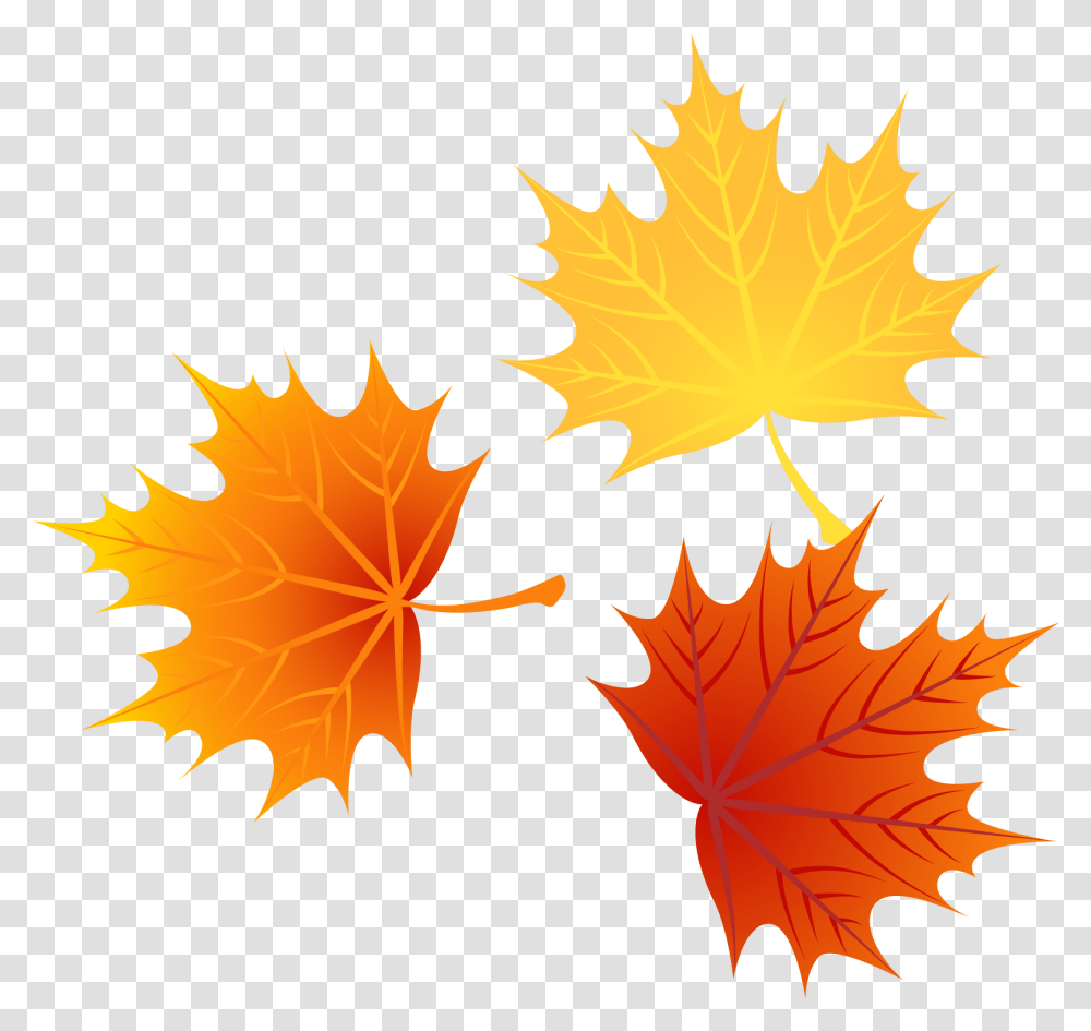 Download Autumn Euclidean Leaves Vector Leaf Image High Autumn Leaf Vector, Plant, Tree, Maple, Maple Leaf Transparent Png