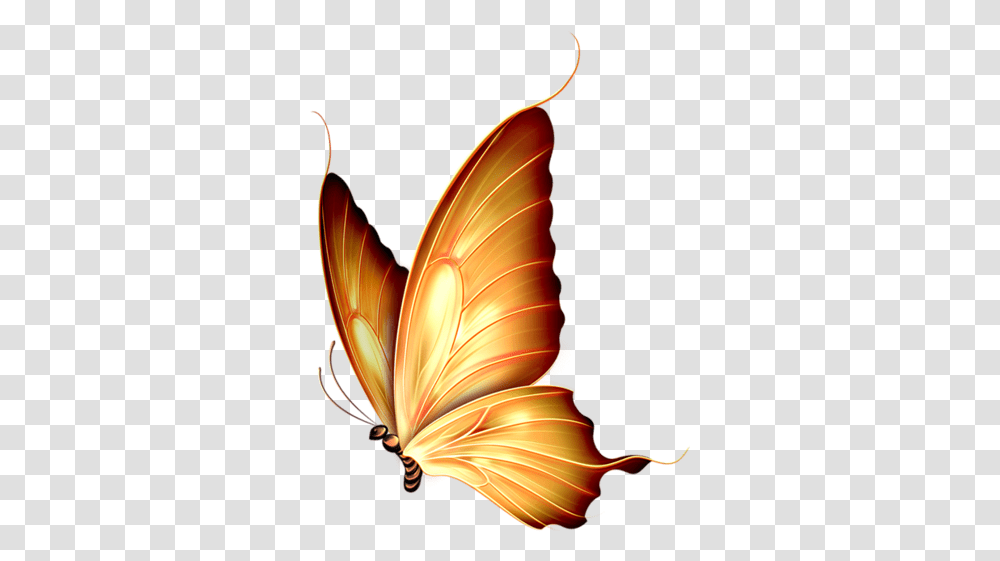 Download Autumn Gold Beautiful Yellow Butterfly Background Gold Butterfly, Pattern, Ornament, Lighting, Graphics Transparent Png