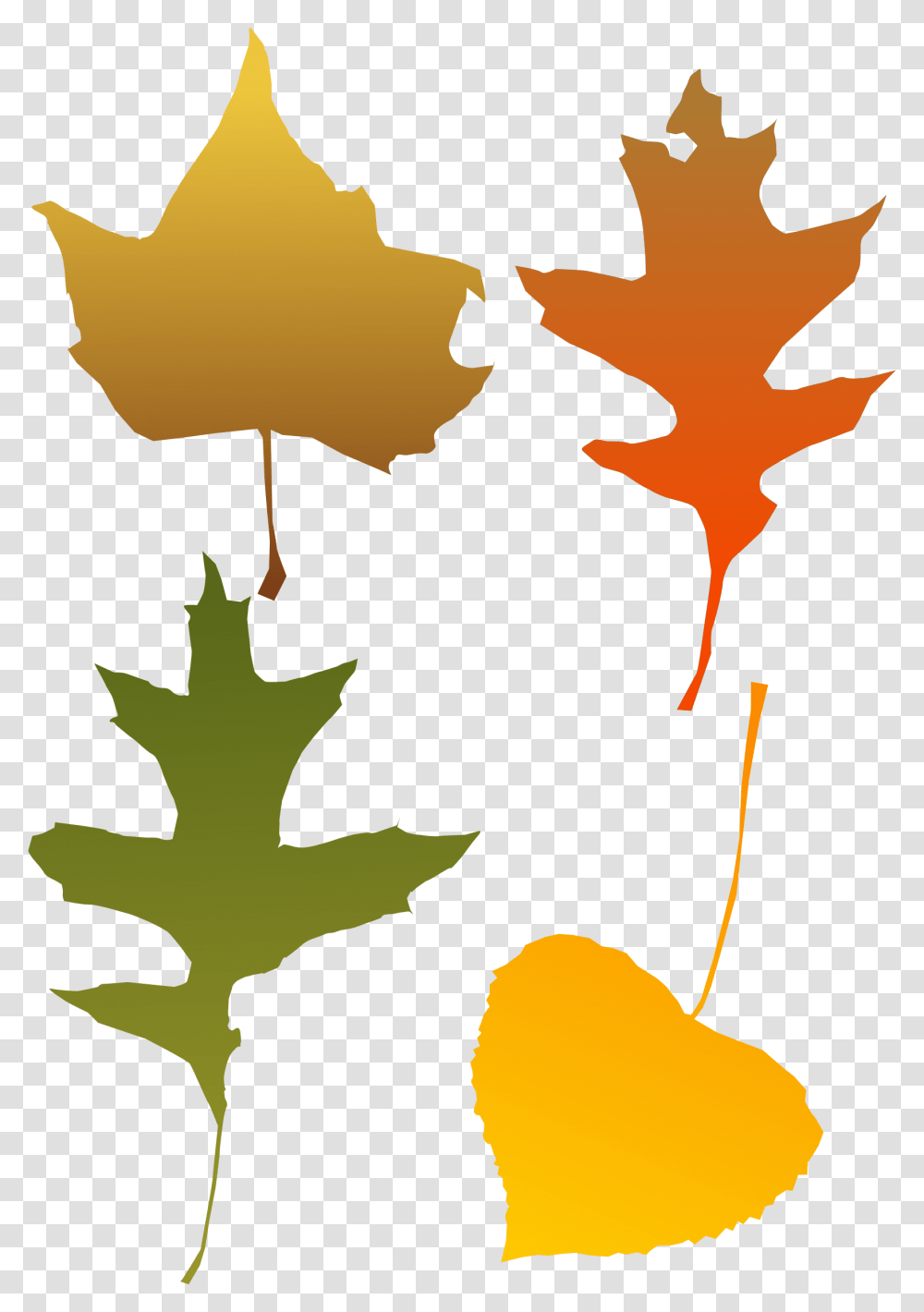Download Autumn Leaf Color Red Maple Tree Autumn Leaf Clip Autumn Leaf Clip Art, Plant, Maple Leaf, Person, Human Transparent Png