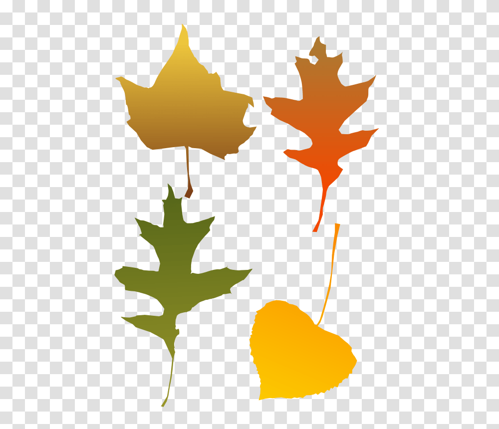 Download Autumn Leaves Autumn Leaf Clip Art Image With Autumn Leaf Clip Art, Plant, Maple Leaf, Tree Transparent Png