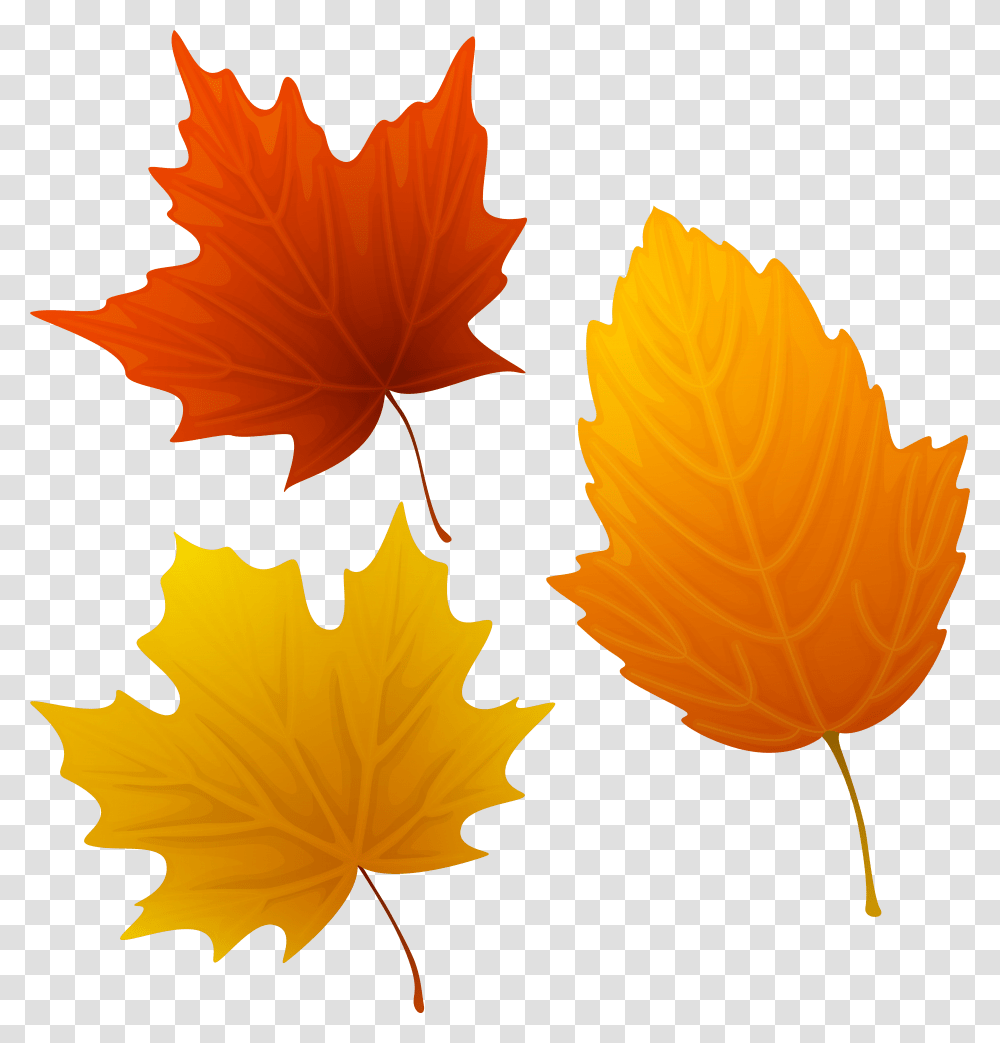 Download Autumn Leaves Cliparts Msr 7 Autumn Leaves Autumn Leaves Clipart, Leaf, Plant, Tree, Maple Leaf Transparent Png