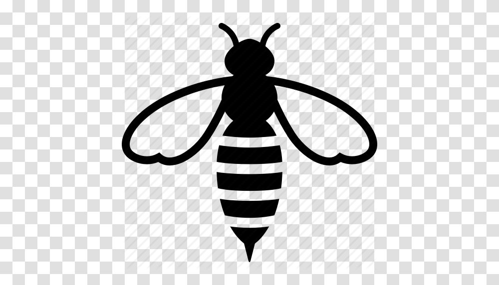 Download Avispa Para Colorear Clipart Bee Clip Art Bee, Piano, Insect, Invertebrate, Animal Transparent Png