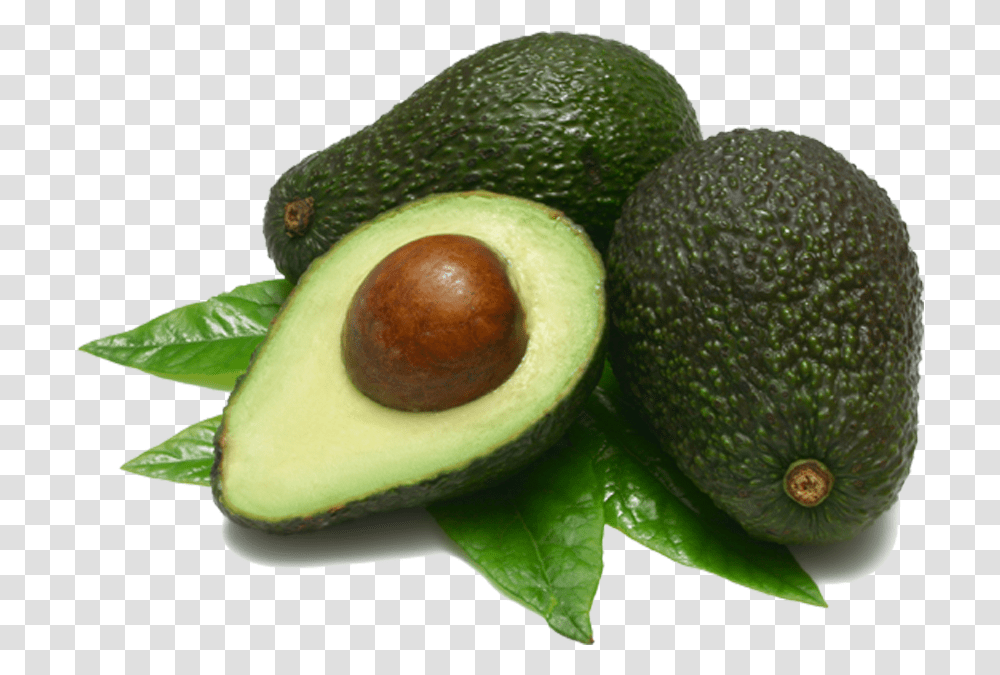 Download Avocado Background Background Avocado, Plant, Fruit, Food Transparent Png