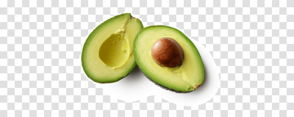 Download Avocado Background Items That Contain Magnesium, Plant, Fruit, Food Transparent Png