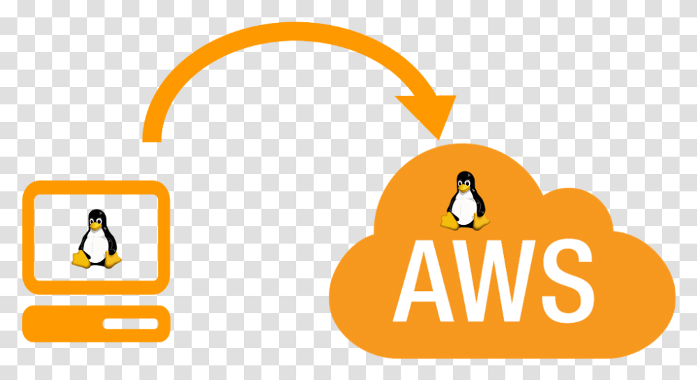 Download Aws Cloud Aws S3, Penguin, Bird, Animal, Outdoors Transparent Png