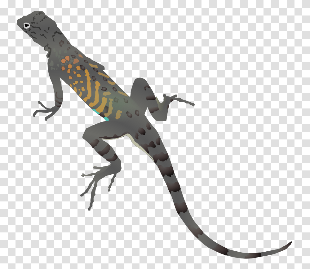 Download Az Lizard Clipart, Gecko, Reptile, Animal, Giraffe Transparent Png