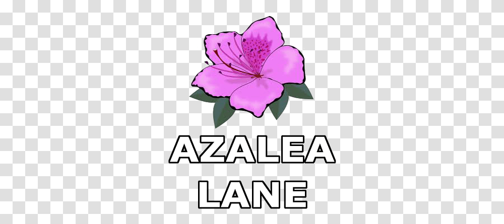 Download Azalea Lane Calendar Coloring Pages, Plant, Flower, Blossom, Poster Transparent Png