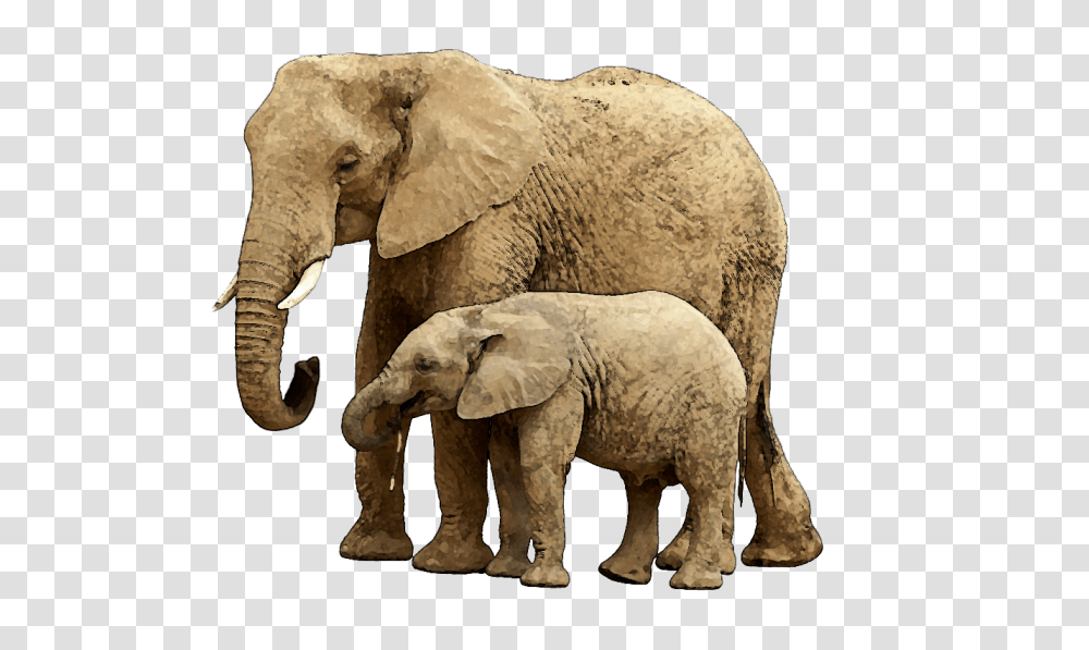 Download Baby Elephant Image With Elephant And Baby, Wildlife, Mammal, Animal Transparent Png