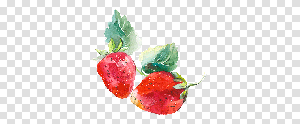 Download Babydoll Sparkling Blush Watercolor Strawberry Watercolor Strawberry Background, Fruit, Plant, Food, Petal Transparent Png