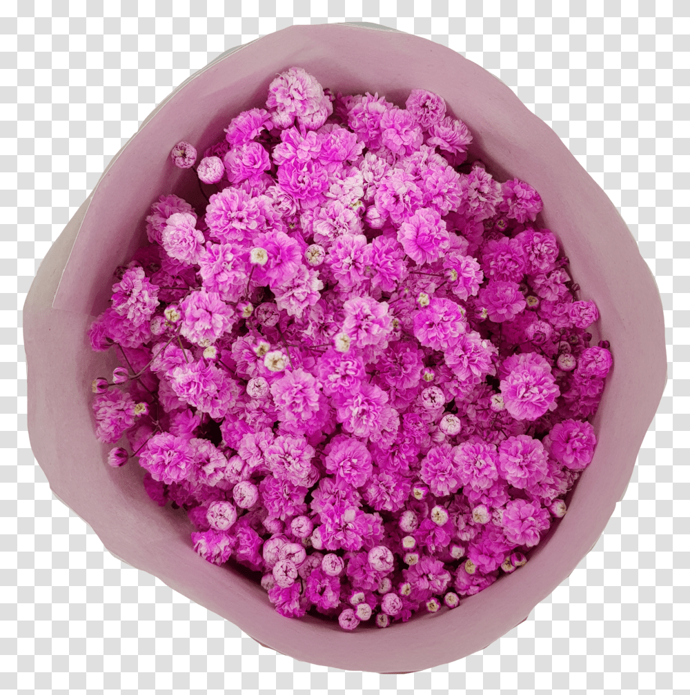 Download Babys Breath Tinted Artificial Flower, Plant, Sweets, Food, Confectionery Transparent Png