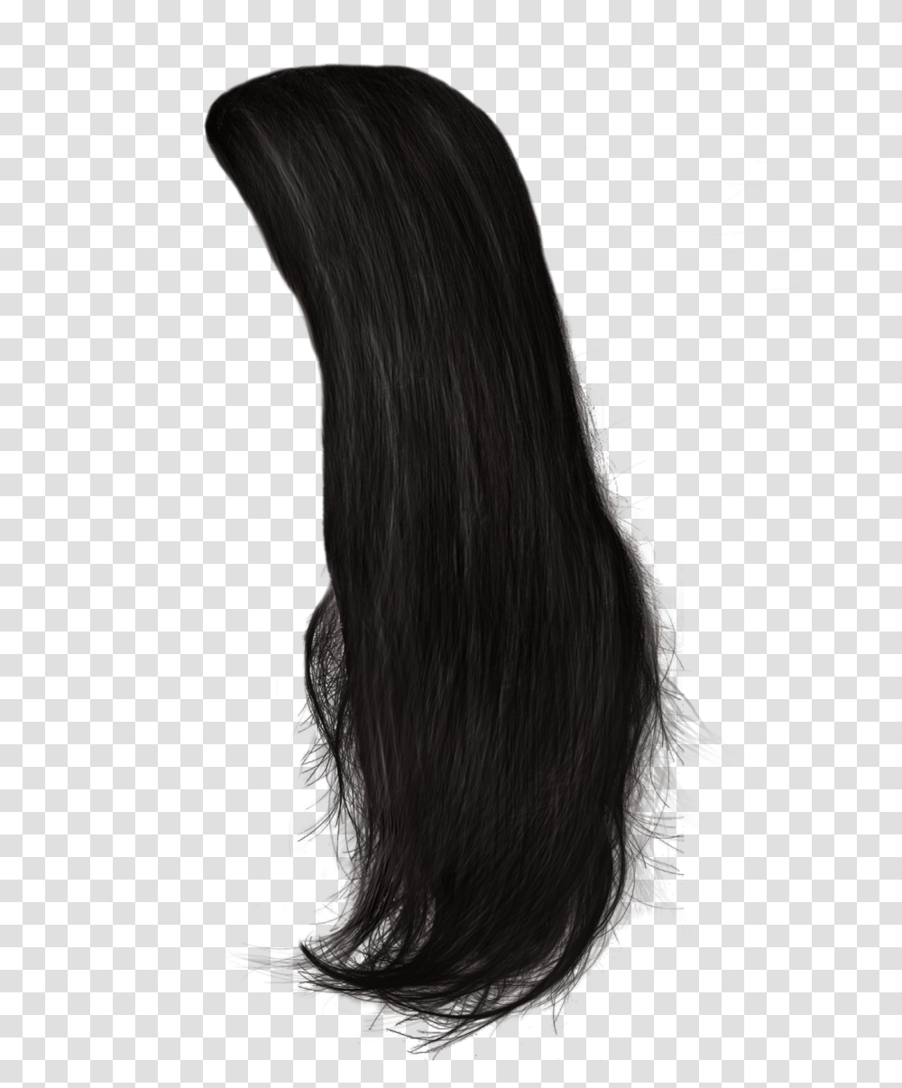 Download Background Straight Black Hair, Horse, Mammal, Animal, Wig Transparent Png