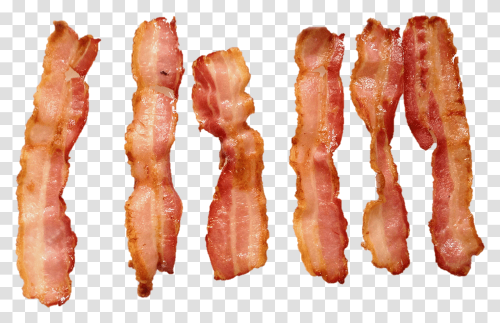 Download Bacon Background Transparent Png