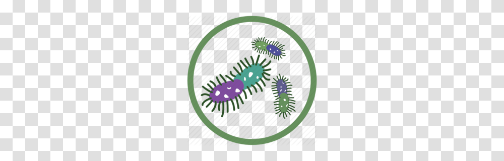 Download Bacteria Clipart Bacteria Infection Clip Art, Plant, Cactus, Rug, Vegetation Transparent Png