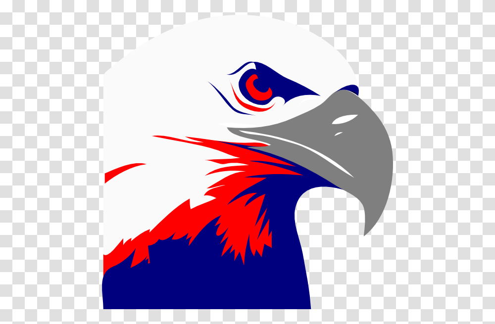 Download Bald Eagle Clipart Bald Eagle Clip Art Eagle Bird, Beak, Animal, Jay, Blue Jay Transparent Png