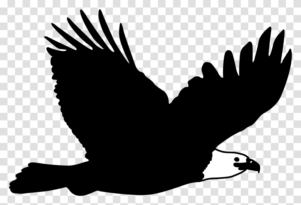 Download Bald Eagle Flight Bird Bald Eagle, Animal, Silhouette Transparent Png