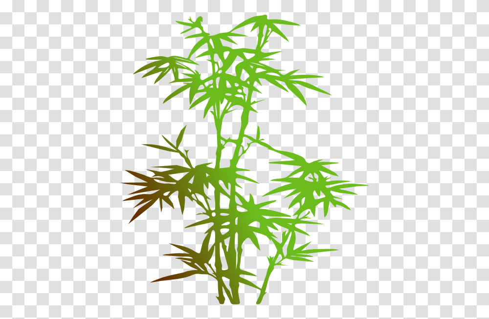 Download Bamboo Clipart, Plant, Dill, Seasoning, Food Transparent Png