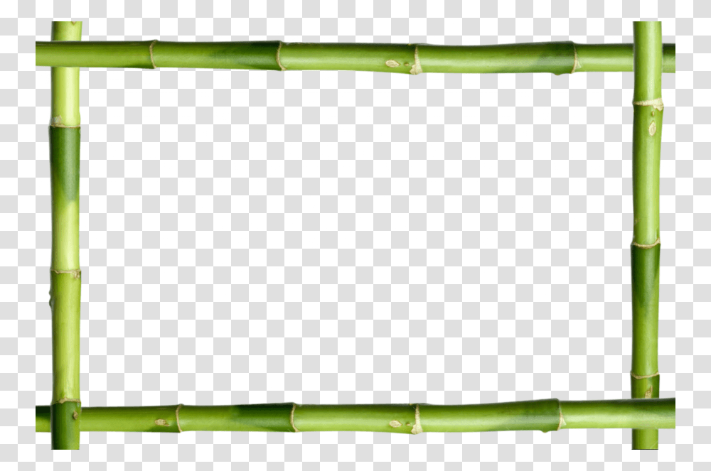 Download Bamboo Stick Clipart Bamboo Clip Art Bamboo Green, Plant, Bamboo Shoot, Vegetable, Produce Transparent Png