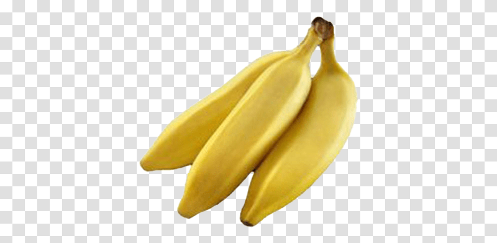 Download Banana Background Lady Finger Banana, Fruit, Plant, Food Transparent Png