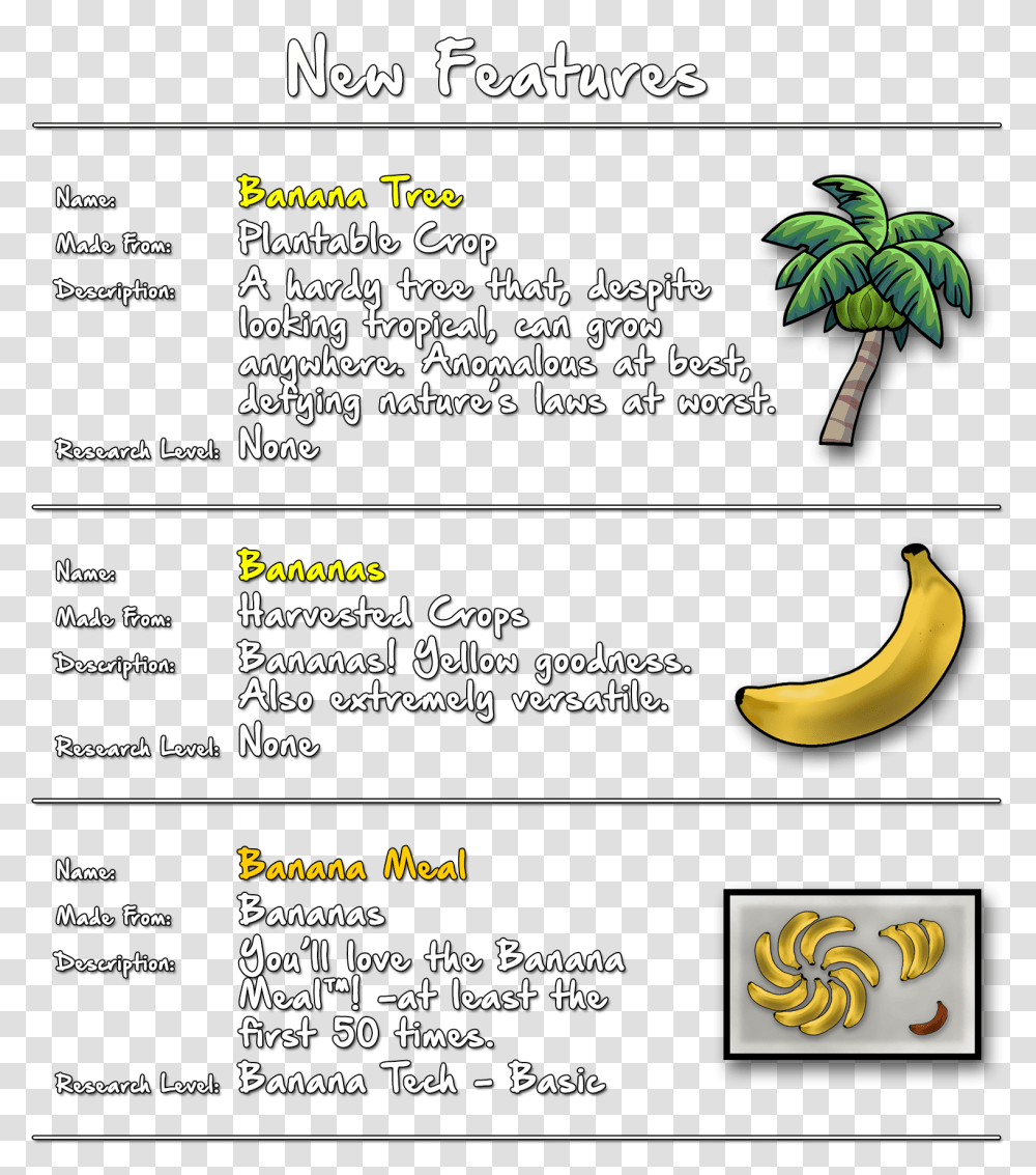 Download Banana Description Hd Uokplrs Description Of Banana Tree, Plant, Vegetation, Text, Fruit Transparent Png