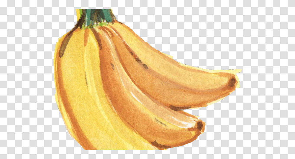 Download Banana Images Banana Watercolor, Plant, Food, Fruit Transparent Png