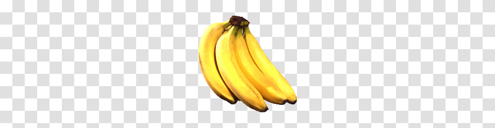 Download Banana Tree Free Photo Images And Clipart Freepngimg, Fruit, Plant, Food Transparent Png