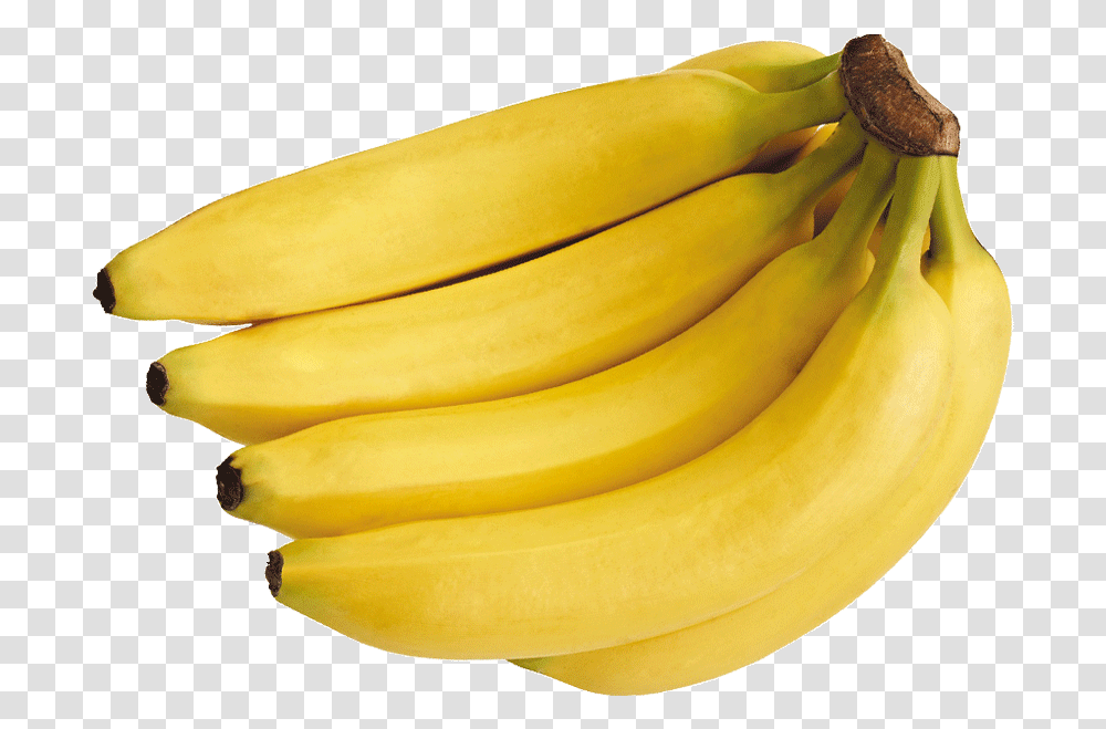 Download Bananas And Price Banana, Fruit, Plant, Food Transparent Png