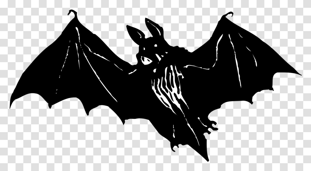 Download Bat Animal Wildlife Halloween Image Scary Bats Vector, Stencil, Silhouette, Face, Hand Transparent Png