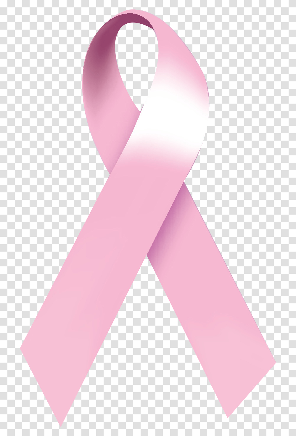 Download Battling Breast Cancer Pink Ribbon Breast Cancer, Purple, Sash, Accessories, Accessory Transparent Png