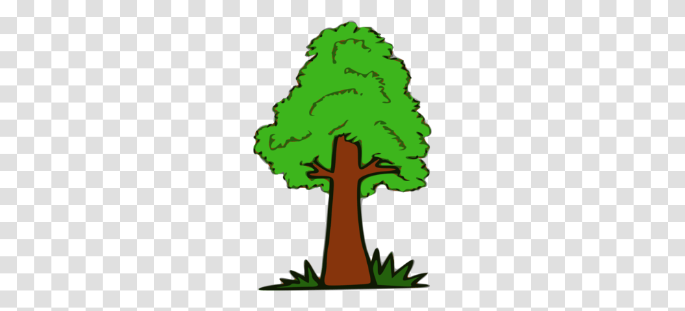 Download Baum Kinderzeichnung Clipart Branch Clip Art, Plant, Tree, Green, Vegetation Transparent Png