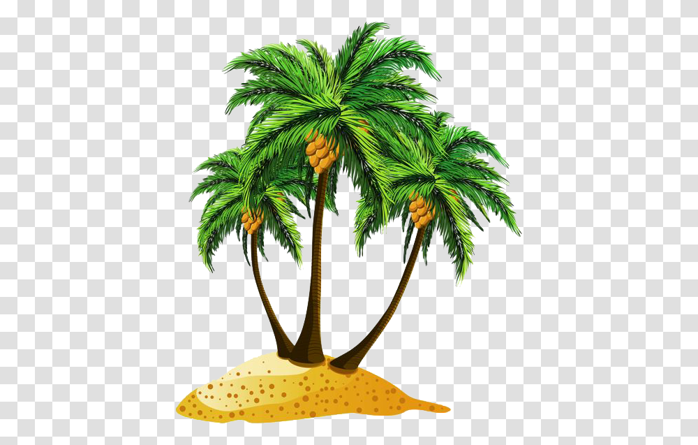 Download Beach Pic Cartoon Date Tree, Plant, Palm Tree, Arecaceae, Leaf Transparent Png