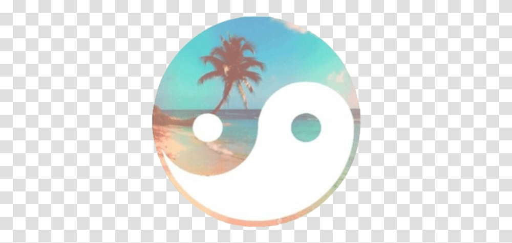 Download Beach Summer And Ying Yang Image Yin Yang Tropical House Music Logo, Disk, Dvd, Tree, Plant Transparent Png